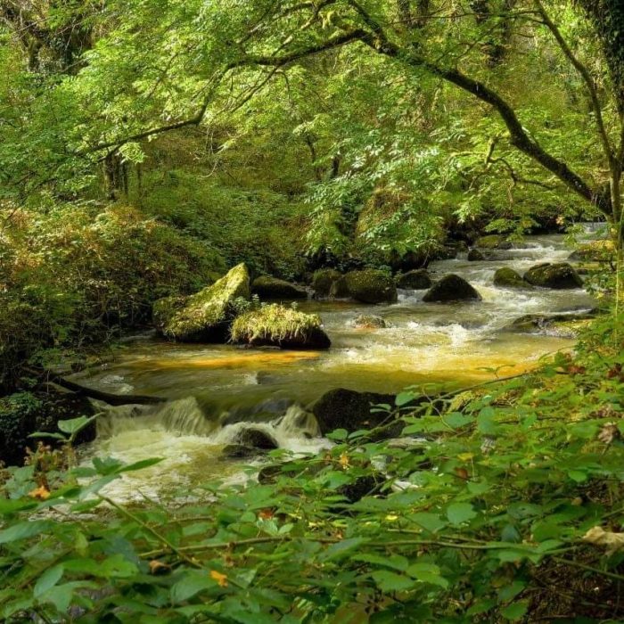 DC901F5D-FA85-43D4-BC51-9C0ACB9AFA47